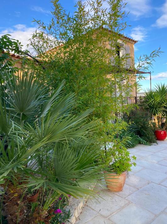 Le Pool House Bed & Breakfast Nîmes Dış mekan fotoğraf